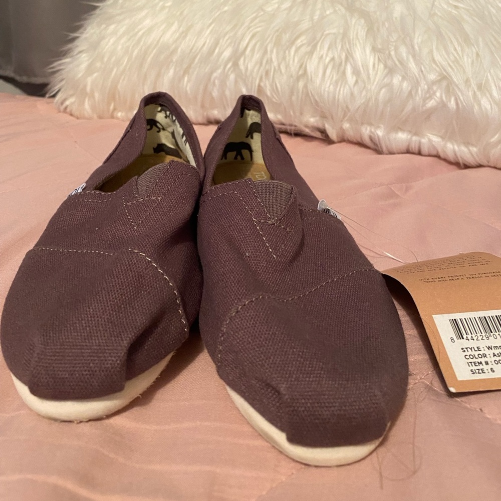 NWT Ash Canvas Women’s Toms
